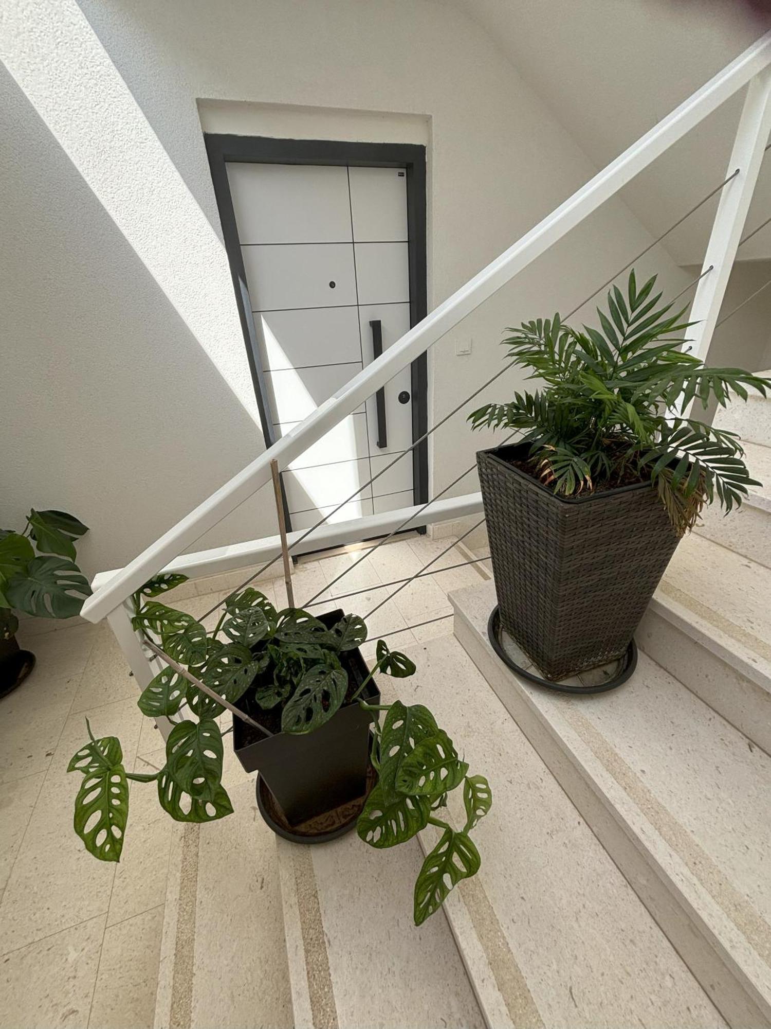 Vila Regina Apartment Paloma With Swimming Pool Jezera Exterior foto